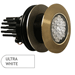 OCEAN LED 2010FM 180 DEG WHITE FLUSH MOUNT UNDERWATER LIGHT