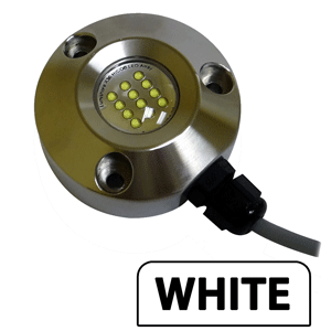 Lumishore Shorelite x18 Underwater Light - White - 18W