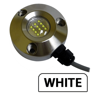 Lumishore Shorelite x36 Underwater Light - White - 36W