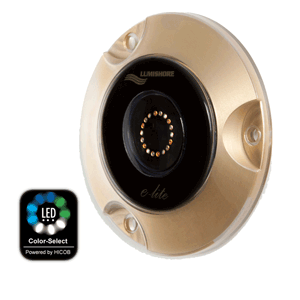 Lumishore Surface Mount Color Select - 20W - Single
