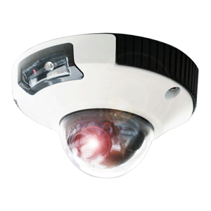 IRIS INNOVATIONS LTD IRIS HI-DEF 3MP IP MINIDOME  CAMERA NTSC W/ MSD STORAGE