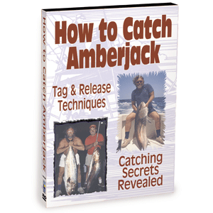 Bennett DVD How To Catch Amberjack