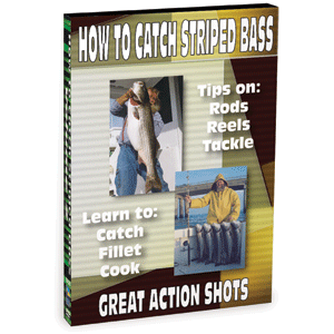Bennett DVD How To Catch Striped Bass