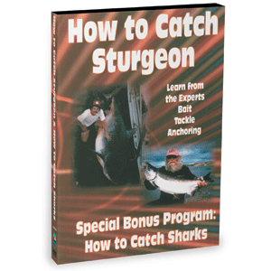 Bennett DVD How To Catch Sharks & How To Catch Sturgeon