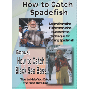 Bennett DVD How To Catch Black Sea Bass