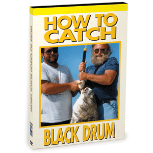 Bennett DVD How To Catch Black Drum and Fishing 101 For Beginners